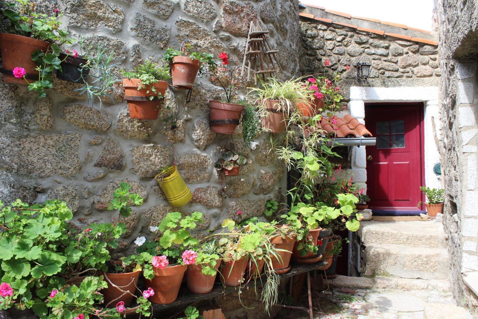 Lugar Sao Salvador De Monsanto Βίλα Εξωτερικό φωτογραφία